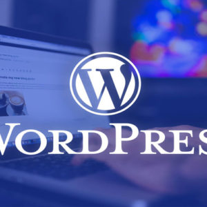 تصميم مواقع ووردبريس